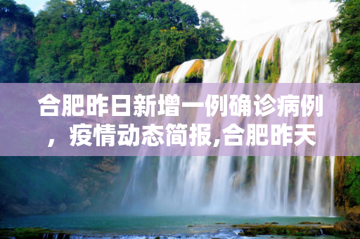 合肥昨日新增一例确诊病例，疫情动态简报,合肥昨天确诊一例的简单介绍