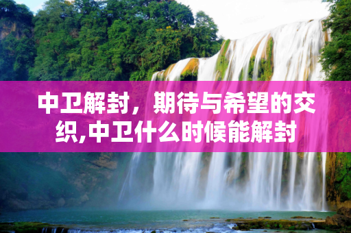 中卫解封，期待与希望的交织,中卫什么时候能解封