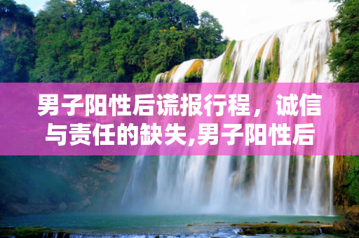 男子阳性后谎报行程，诚信与责任的缺失,男子阳性后谎报行程
