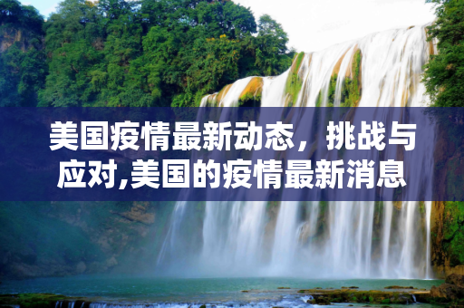 美国疫情最新动态，挑战与应对,美国的疫情最新消息