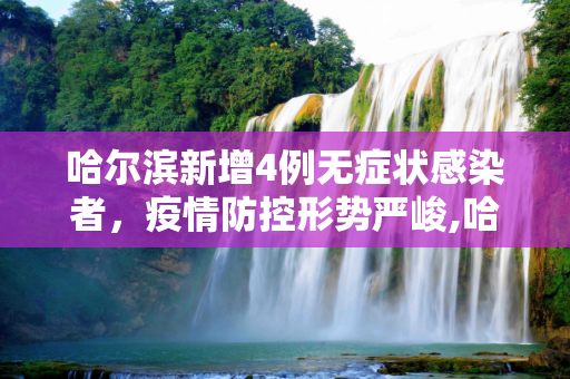 哈尔滨新增4例无症状感染者，疫情防控形势严峻,哈尔滨新增4例无症状感染者