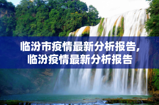 临汾市疫情最新分析报告,临汾疫情最新分析报告