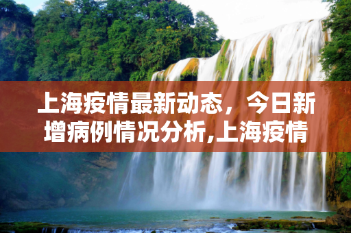 上海疫情最新动态，今日新增病例情况分析,上海疫情最新消息今天新增