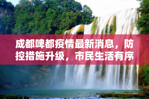 成都啤都疫情最新消息，防控措施升级，市民生活有序,成都啤都疫情最新消息