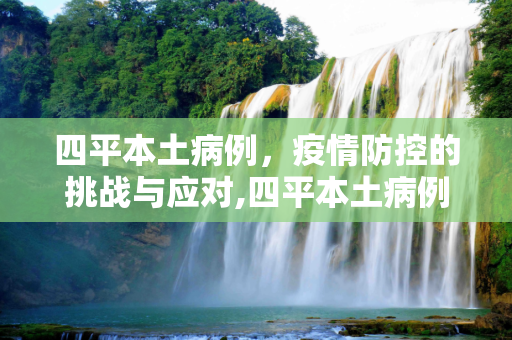 四平本土病例，疫情防控的挑战与应对,四平本土病例