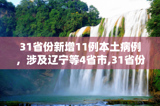 31省份新增11例本土病例，涉及辽宁等4省市,31省份新增11例本土 涉辽宁等4省市