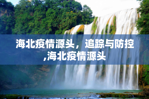 海北疫情源头，追踪与防控,海北疫情源头