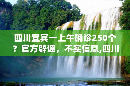 四川宜宾一上午确诊250个？官方辟谣，不实信息,四川宜宾一上午确诊250个？辟谣