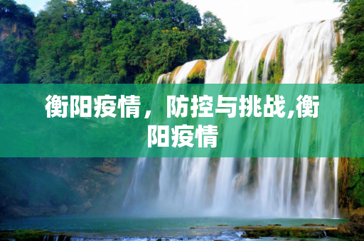 衡阳疫情，防控与挑战,衡阳疫情