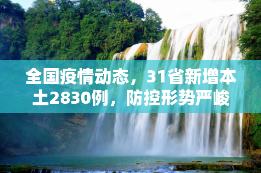 全国疫情动态，31省新增本土2830例，防控形势严峻,31省新增本土2830例