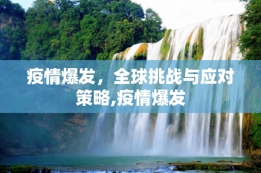 疫情爆发，全球挑战与应对策略,疫情爆发