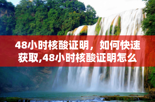 48小时核酸证明，如何快速获取,48小时核酸证明怎么开