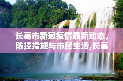 长葛市新冠疫情最新动态，防控措施与市民生活,长葛新冠疫情最新消息