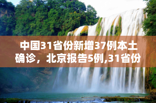 中国31省份新增37例本土确诊，北京报告5例,31省份新增37例本土确诊北京5例