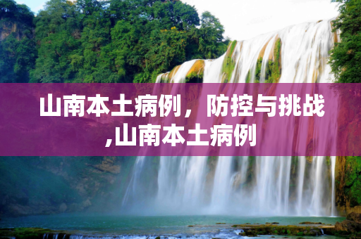 山南本土病例，防控与挑战,山南本土病例