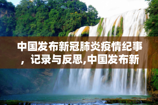 中国发布新冠肺炎疫情纪事，记录与反思,中国发布新冠肺炎疫情纪事