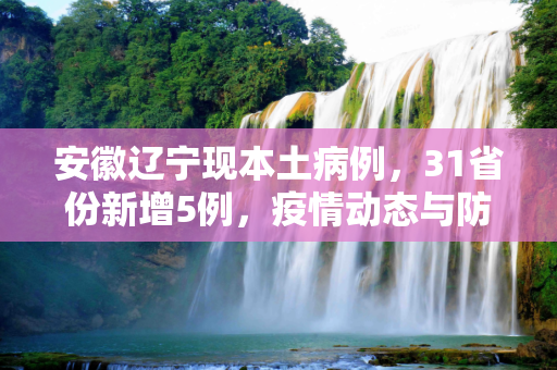 安徽辽宁现本土病例，31省份新增5例，疫情动态与防控措施,31省份新增5例本土病例在安徽辽宁