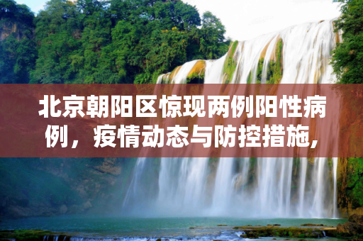 北京朝阳区惊现两例阳性病例，疫情动态与防控措施,北京朝阳现2例阳性