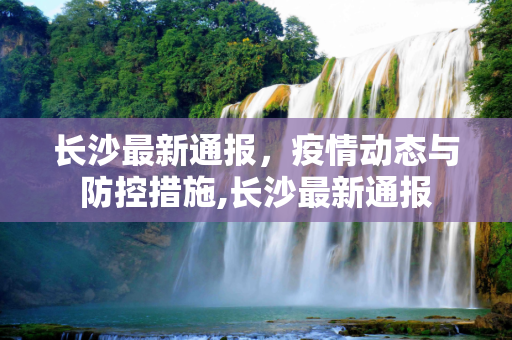 第415页