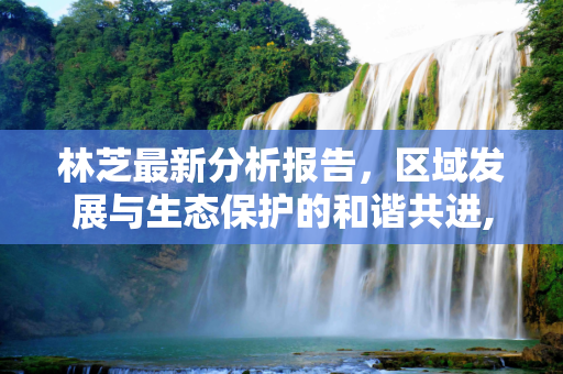 论坛资讯 第70页