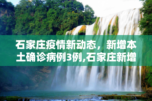 石家庄疫情新动态，新增本土确诊病例3例,石家庄新增本土确诊病例3例