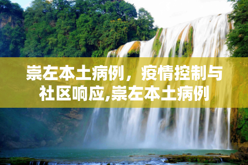 崇左本土病例，疫情控制与社区响应,崇左本土病例