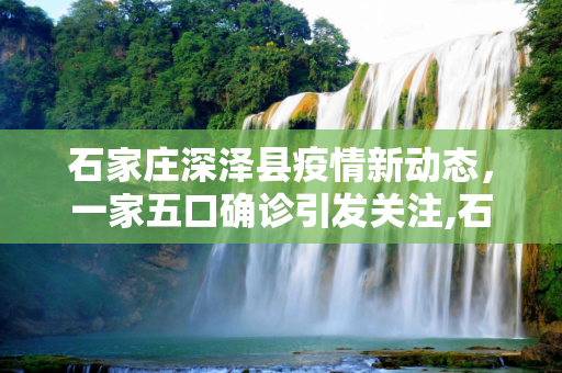 石家庄深泽县疫情新动态，一家五口确诊引发关注,石家庄深泽县一家五口确诊