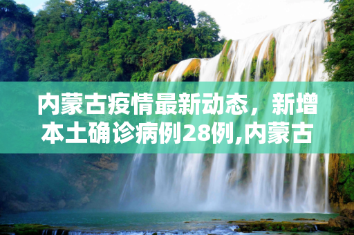 第409页