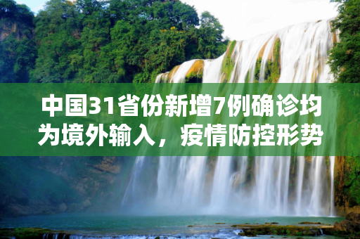 中国31省份新增7例确诊均为境外输入，疫情防控形势依然严峻,31省新增7例确诊均为境外输入