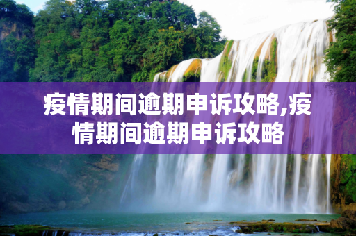 疫情期间逾期申诉攻略,疫情期间逾期申诉攻略