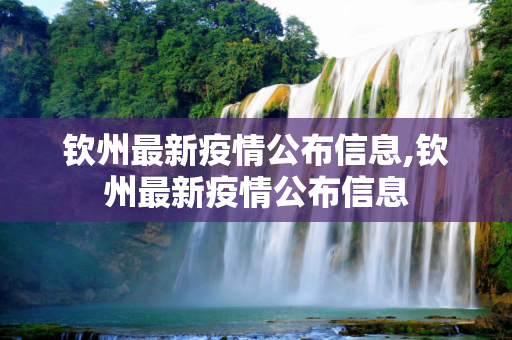 钦州最新疫情公布信息,钦州最新疫情公布信息
