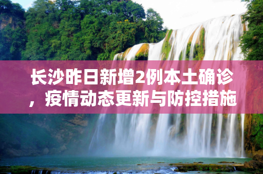 长沙昨日新增2例本土确诊，疫情动态更新与防控措施,长沙昨日新增2例本土确诊