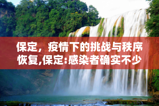 保定，疫情下的挑战与秩序恢复,保定:感染者确实不少秩序正恢复