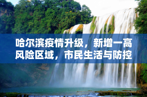 哈尔滨疫情升级，新增一高风险区域，市民生活与防控措施面临新挑战,哈尔滨新增一高风险