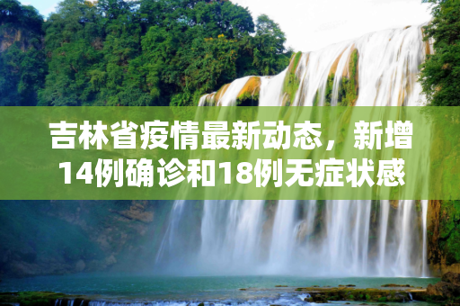 吉林省疫情最新动态，新增14例确诊和18例无症状感染者,吉林新增14例确诊 18例无症状