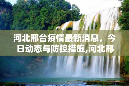 河北邢台疫情最新消息，今日动态与防控措施,河北邢台疫情最新消息今天