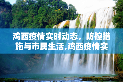 鸡西疫情实时动态，防控措施与市民生活,鸡西疫情实时动态