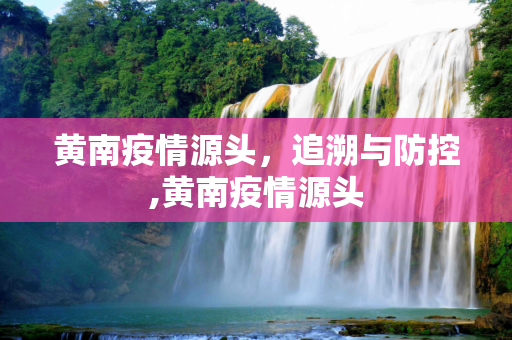 黄南疫情源头，追溯与防控,黄南疫情源头