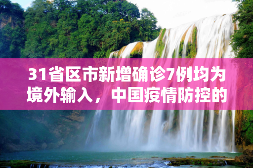 31省区市新增确诊7例均为境外输入，中国疫情防控的持续努力与挑战,31省区市新增确诊7例均为境外输入