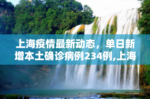 上海疫情最新动态，单日新增本土确诊病例234例,上海新增本土确诊234