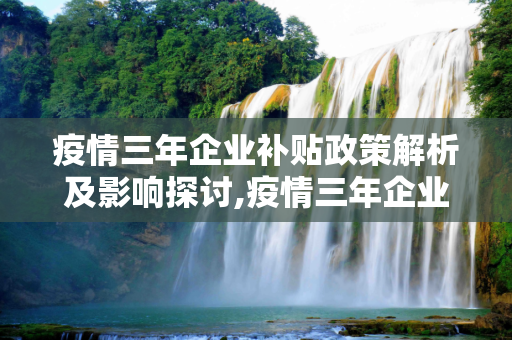疫情三年企业补贴政策解析及影响探讨,疫情三年企业补贴政策解析及影响探讨