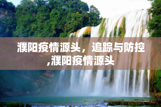 濮阳疫情源头，追踪与防控,濮阳疫情源头