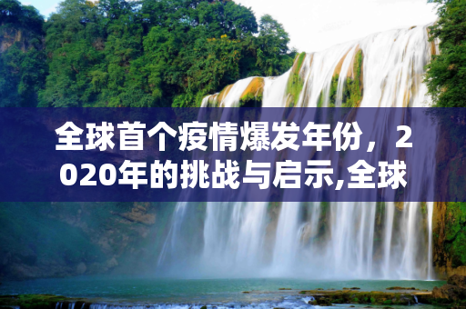 全球首个疫情爆发年份，2020年的挑战与启示,全球首个疫情爆发年份