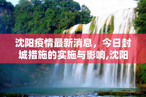 沈阳疫情最新消息，今日封城措施的实施与影响,沈阳疫情最新消息今天封城了