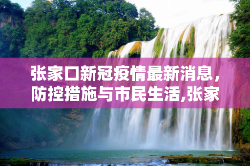 张家口新冠疫情最新消息，防控措施与市民生活,张家口新冠疫情最新消息