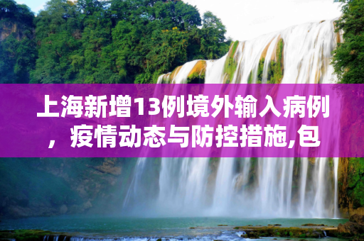 上海新增13例境外输入病例，疫情动态与防控措施,包含上海新增13例境外输入病例的词条