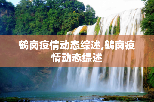 鹤岗疫情动态综述,鹤岗疫情动态综述