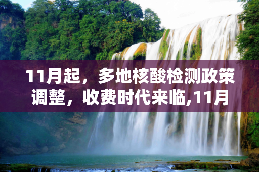 11月起，多地核酸检测政策调整，收费时代来临,11月起多地核酸检测将收费