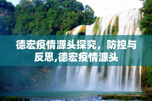 德宏疫情源头探究，防控与反思,德宏疫情源头