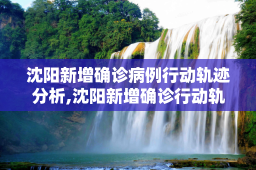 沈阳新增确诊病例行动轨迹分析,沈阳新增确诊行动轨迹